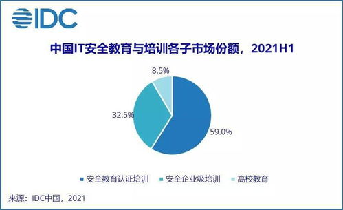 IDC報告揭示 2021上半年中國網絡安全服務市場迎爆發，網絡與信息安全軟件開發成核心引擎
